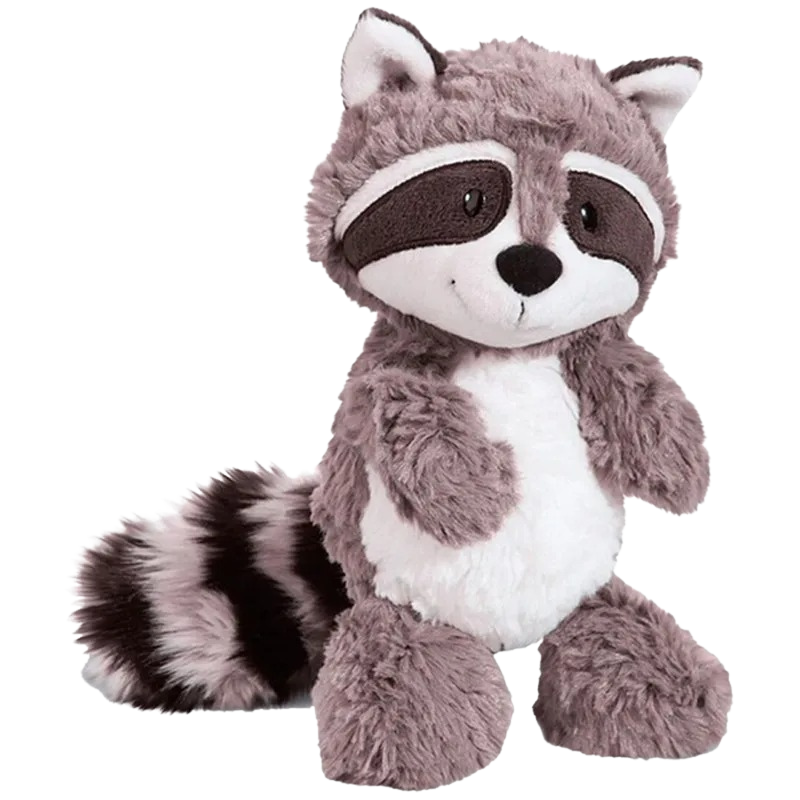 Racoon