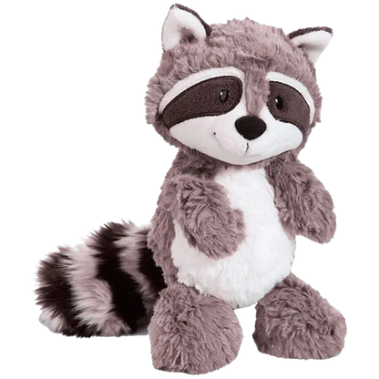 Racoon